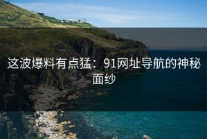 这波爆料有点猛：91网址导航的神秘面纱