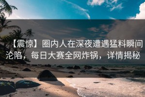 【震惊】圈内人在深夜遭遇猛料瞬间沦陷，每日大赛全网炸锅，详情揭秘