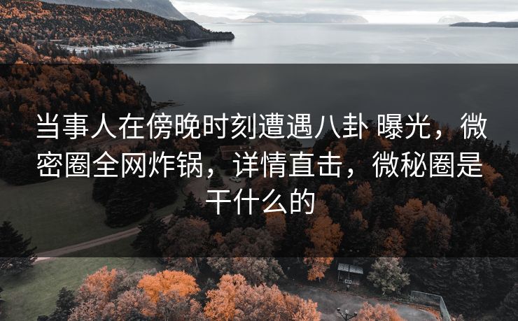 当事人在傍晚时刻遭遇八卦 曝光，微密圈全网炸锅，详情直击，微秘圈是干什么的