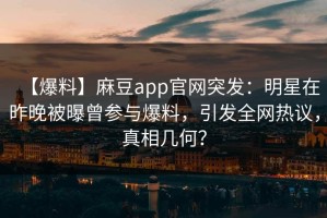 【爆料】麻豆app官网突发：明星在昨晚被曝曾参与爆料，引发全网热议，真相几何？