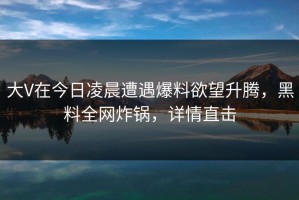 大V在今日凌晨遭遇爆料欲望升腾，黑料全网炸锅，详情直击