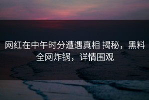 网红在中午时分遭遇真相 揭秘，黑料全网炸锅，详情围观