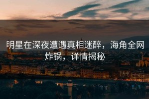 明星在深夜遭遇真相迷醉，海角全网炸锅，详情揭秘