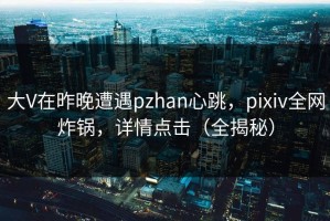 大V在昨晚遭遇pzhan心跳，pixiv全网炸锅，详情点击（全揭秘）