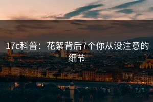 17c科普：花絮背后7个你从没注意的细节