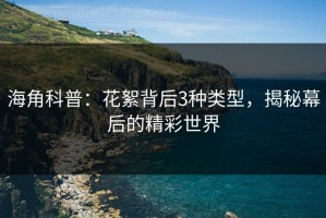 海角科普：花絮背后3种类型，揭秘幕后的精彩世界
