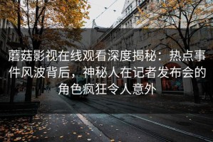蘑菇影视在线观看深度揭秘：热点事件风波背后，神秘人在记者发布会的角色疯狂令人意外