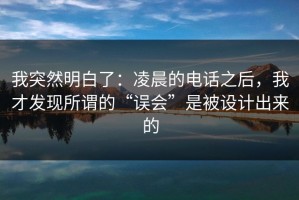 我突然明白了：凌晨的电话之后，我才发现所谓的“误会”是被设计出来的