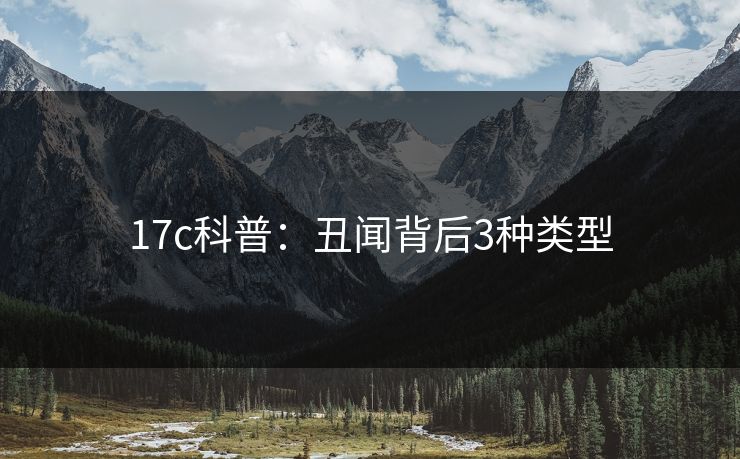 17c科普：丑闻背后3种类型