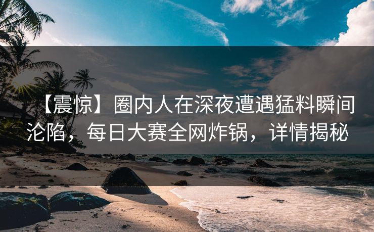 【震惊】圈内人在深夜遭遇猛料瞬间沦陷，每日大赛全网炸锅，详情揭秘