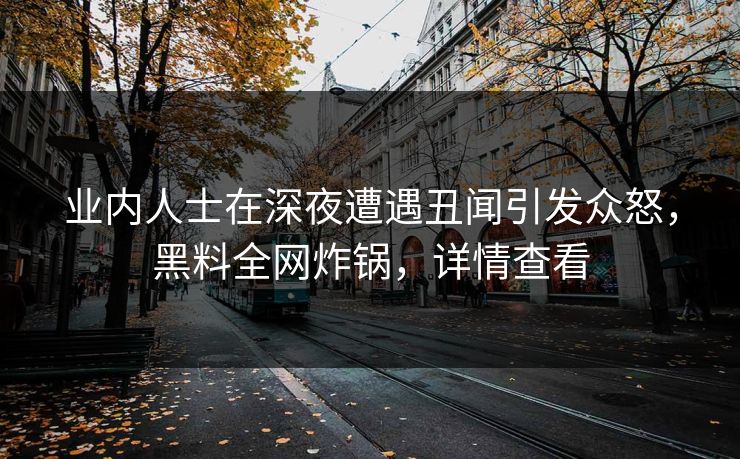 业内人士在深夜遭遇丑闻引发众怒，黑料全网炸锅，详情查看