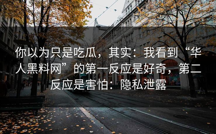 你以为只是吃瓜，其实：我看到“华人黑料网”的第一反应是好奇，第二反应是害怕：隐私泄露