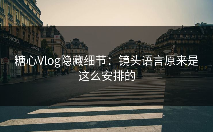糖心Vlog隐藏细节:镜头语言原来是这么安排的 糖心Vlog隐藏细节:镜头语言原来是这么安排的